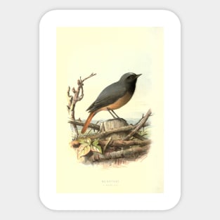 Redstart Sticker